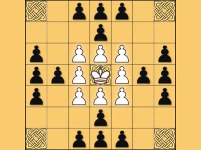 Tafl: viking chess